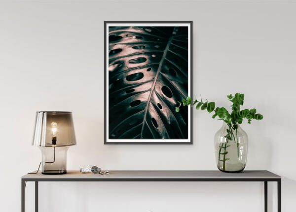 monstera jungle tropisch