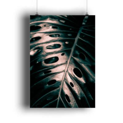 Monstera Blatt Makro - DIN A3 Poster (hochformat)-3