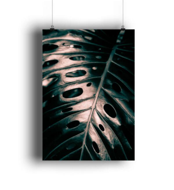 Monstera Blatt Makro - DIN A3 Poster (hochformat)-3