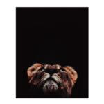 Loewe Poster Kunstdruck