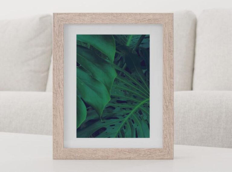 Wandbild Kunstdruck Monstera Tropisch – Bild 2