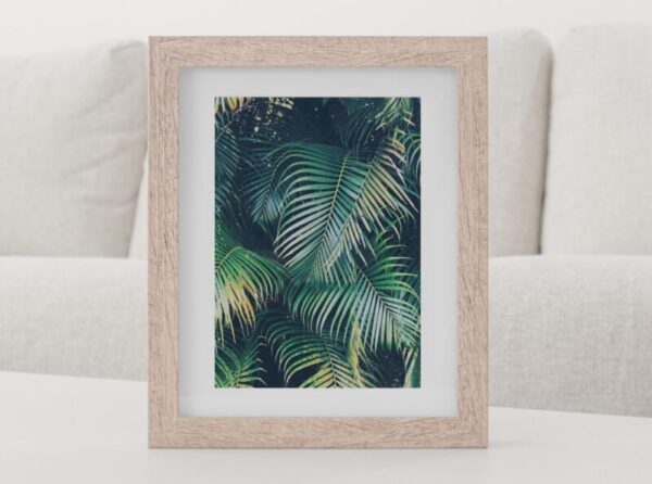 Wandbild Kunstdruck Monstera Botanik – Bild 2