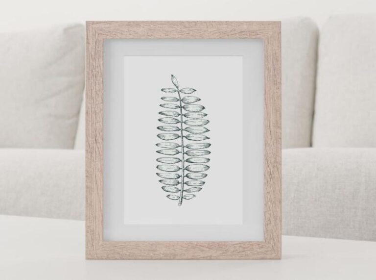 Wandbild Kunstdruck Zeichnung Farn Botanik – Bild 2