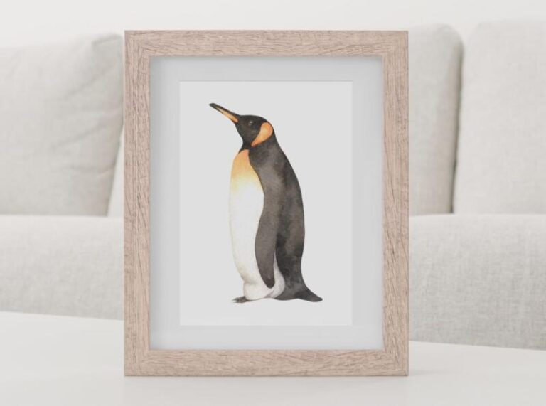 Wandbild Kunstdruck Aquarell Pinguin – Bild 2