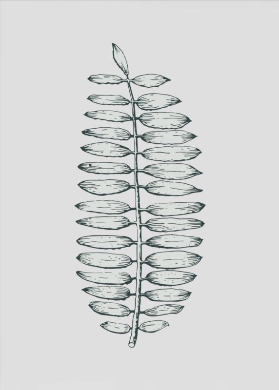 Wandbild Kunstdruck Zeichnung Farn Botanik