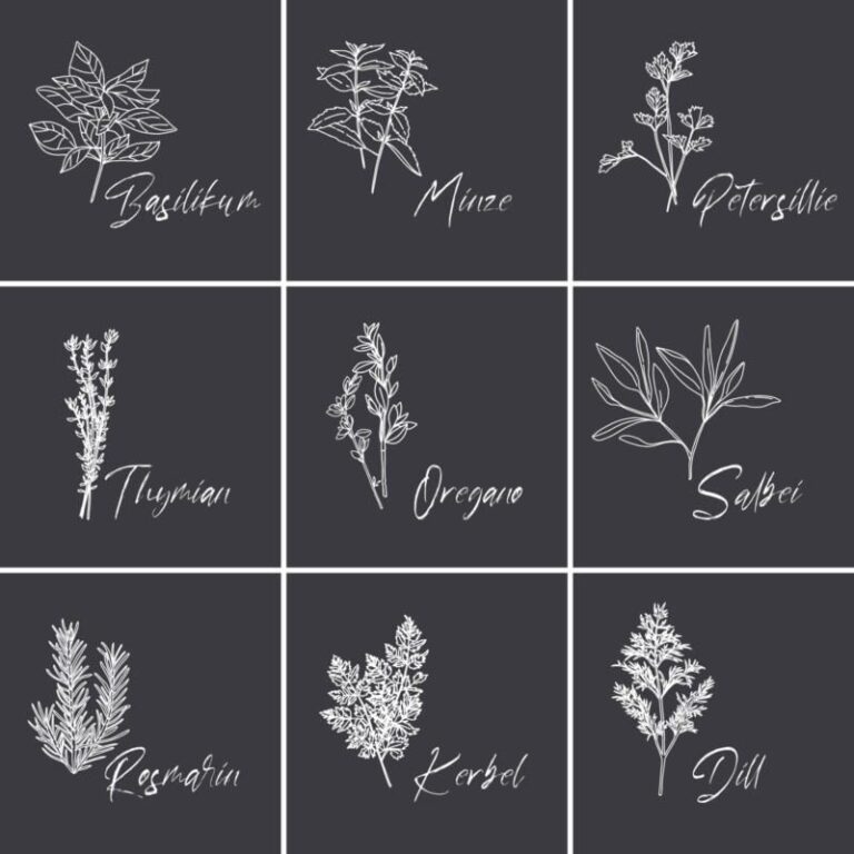 Küchenkräuter Gewürze Pflanzen - Fliesenaufkleber für die Küche – Bild 3