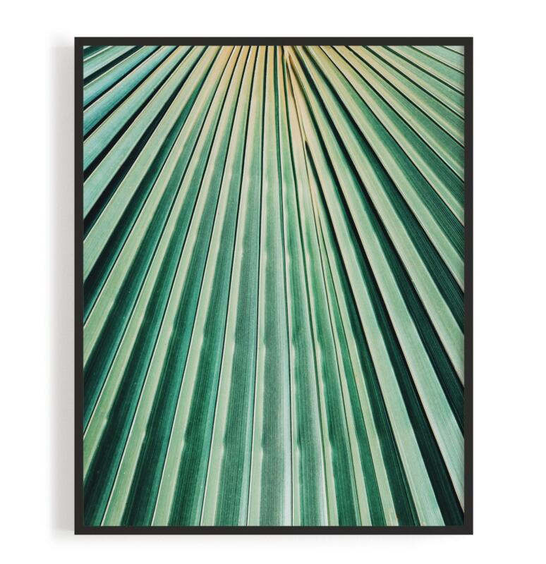 Palmenblatt Makrofotografie Nahaufnahme Tropisch Jungle Poster