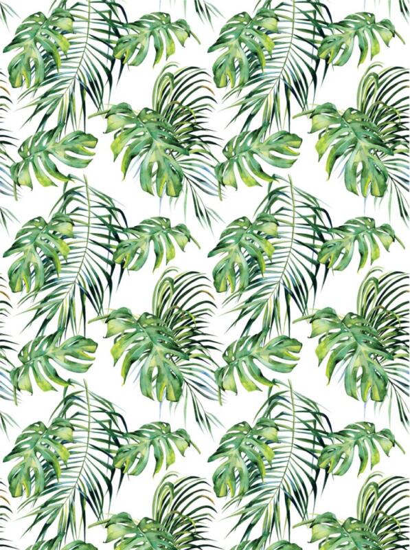 Dekorfolie Möbelfolie - Tropisch - Monstera - Jungle – Bild 2